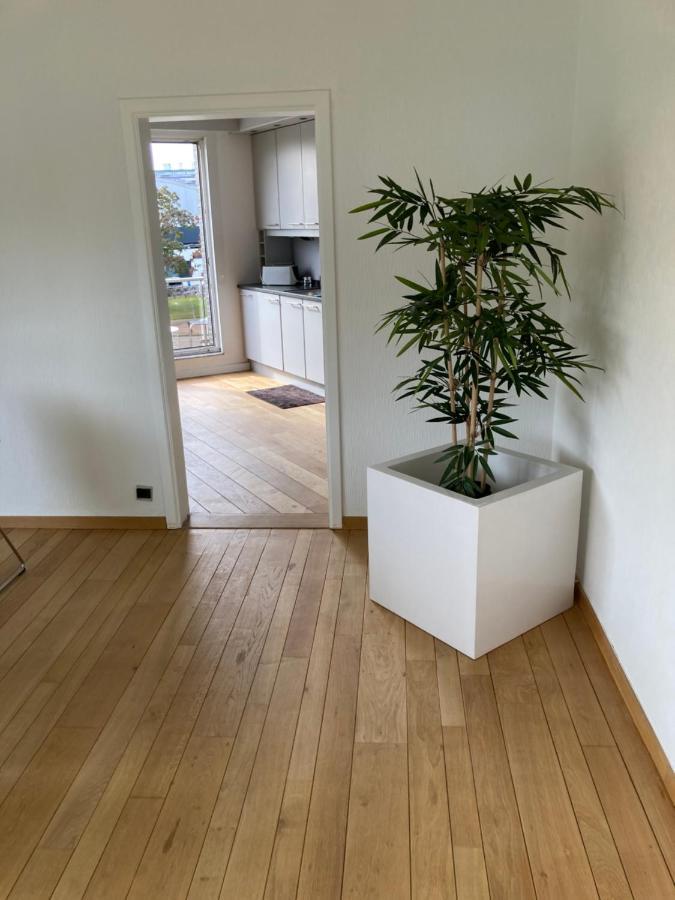 Lichtrijk Mooi Appartement Met Zicht Op Hof Van Roosendael Antwerpen Eksteriør bilde